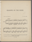 Shadows on the blind