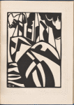 Dazzle Ships