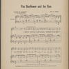 The sunflower and the sun