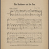 The sunflower and the sun