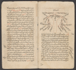 Tanqîh al-manâzir ...