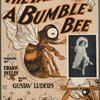 The tale of a bumblebee