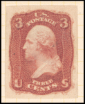 3c brown rose Washington essay single