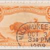 4c orange Indian Hunting Buffalo single