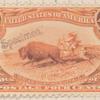 4c orange Indian Hunting Buffalo single