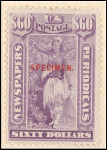 $60 purple Indian Maiden Specimen single