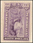 $60 purple Indian maiden single