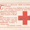 1917 Buffalo, New York to Washington flight message card for Red Cross fund