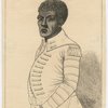 Toussaint L'Ouverture, Governor of St. Domingo