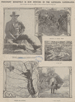President Roosevelt is now hunting in the Louisiana Canebrakes.