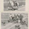 As horseman.
