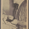 Carl P. Rollins.