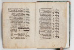 David bar Pesah Mahzor (Germany). Vol. 2 [entire volume]