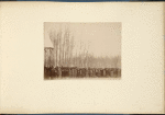 People in a forest