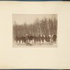 Officers hunting