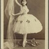 E. P. Sokol (?)