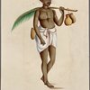 Hindoo toddy [gatherer?]