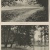 Ermenonville dans sa splendeur d'automne. Le parc et le grand lac ; Lîle de Peupliers et le tombeau (vide) de Jean-Jacques Rousseau