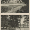 Ermenonville dans sa splendeur d'automne. Le parc et le grand lac ; Lîle de Peupliers et le tombeau (vide) de Jean-Jacques Rousseau