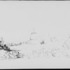 Moulton-Barrett, Henrietta Barrett. Original drawings, pencil sketches, water colors and tracings [c. 1825]