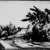 Moulton-Barrett, Henrietta Barrett. Original drawings, pencil sketches, water colors and tracings [c. 1825]