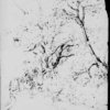 Moulton-Barrett, Henrietta Barrett. Original drawings, pencil sketches, water colors and tracings [c. 1825]