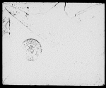 [Browning], [Robert Wiedemann Barrett]. ALS to