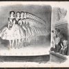 Rats (d'Opéra)