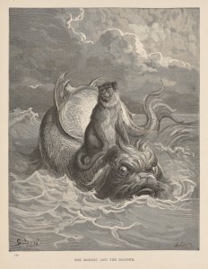 The Monkey and the Dolphin