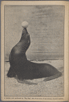 Ringling Bros. and Barnum & Bailey Combined Shows Magazine and Daily Review [1925]