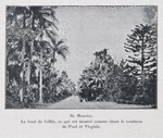 Ile Maurice. Au fond de l'allée, ce qui est montré comme étant le tombeau de Paul et Virginie.