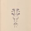 Autograph of August Rodin