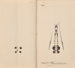 Autograph of C. Flammarion