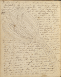 My dearest Mother, Mrs Cleveland expects... ALS. May 27, 1834. 