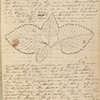 My beloved Mother, I have taken... ALS. Sep. 17, 1834.
