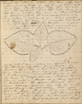 My beloved Mother, I have taken... ALS. Sep. 17, 1834.