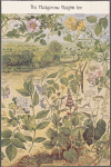 Hedgerose Heights Inn