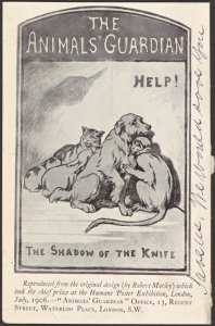 A Collection of pamphlets relating to antivivisection, published in various places, from 1894-1912.