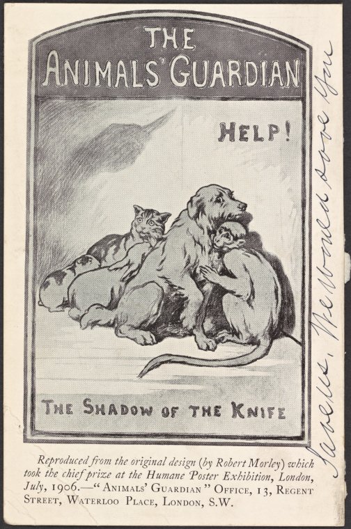 The Animal's Guardian. Help! The shadow of the knife - NYPL Digital  Collections