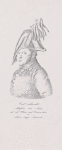 Carl Schneider. Freyherr von Arno...