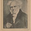 Arthur Schopenhauer.