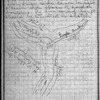 Volume 2 ["B"], First expedition, July 4 to July 25th 1889, and synopsis to Nov. 25th, '89.  Second expedition Dec. 27th, 1889 to Jan. 22d, 1890.  