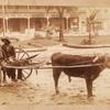 [A boy and a young man sitting on a cow-driven cart in muddy street.]