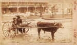 A boy and a young man sitting on a cow-driven cart in muddy street