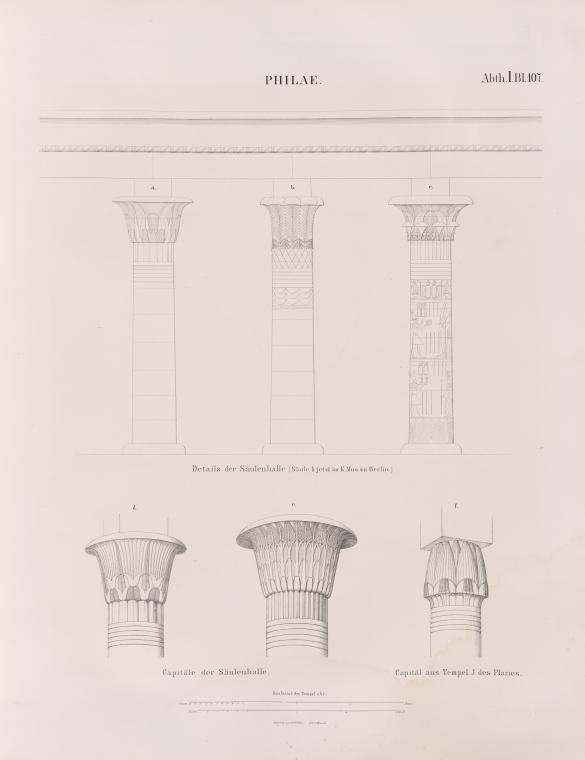 Lepsius plate showing details and capitals from Philae
