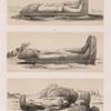 Kolossalstatuen  a. b. von der Insel Argo, c. von Tombos [Tumbos].