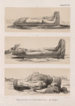 Kolossalstatuen  a. b. von der Insel Argo, c. von Tombos [Tumbos].