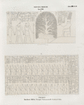 Neues Reich. Dynastie  XVIII.  Theben [Thebes]. Medînet Hâbu. Tempel Tuthmosis III. Vordere Cella.