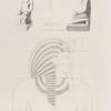 Neues Reich. Dynastie  XVIII.  a - d  Statue des Königs Amenophis II  aus Ben Naga. [jetzt im K. Museum];  e. Portrait König Amenophis III,  Zeichnung aus seinem Grabe.
