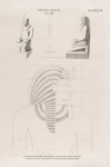 Neues Reich. Dynastie  XVIII.  a - d  Statue des Königs Amenophis II  aus Ben Naga. [jetzt im K. Museum];  e. Portrait König Amenophis III,  Zeichnung aus seinem Grabe.
